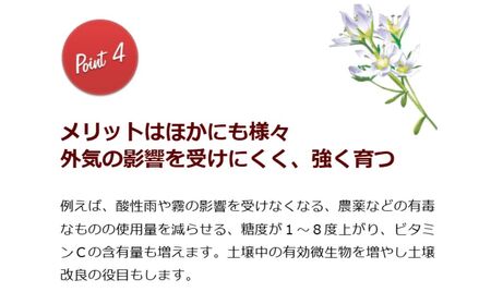HB-101　大容量セット