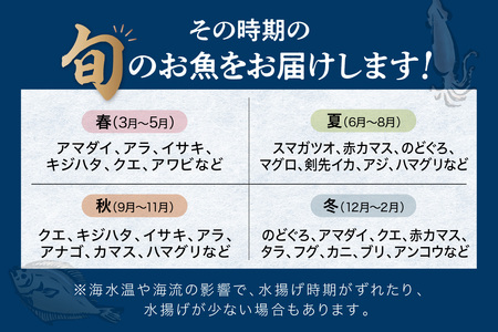 【定期便】どんちっち浜田【極み】鮮魚 2回コース～最高級この男シリーズ～海鮮 鮮魚 詰め合わせ【006_2051】