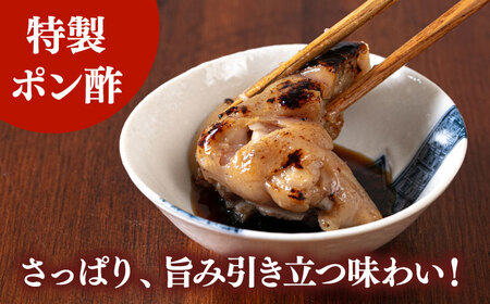 特製ポン酢付き！ぷるぷる国産焼き豚足 5本セット（130g×5p）桂川町/株式会社MEAT PLUS [ADAQ141] 
