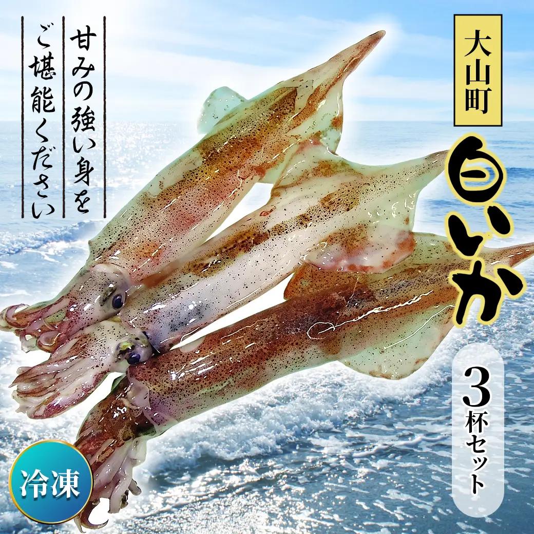 OM-06　白イカ３杯セット（冷凍）