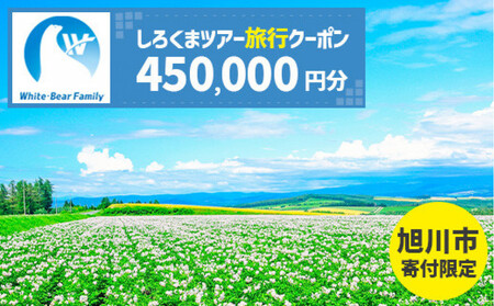 【旭川市】しろくまツアーで利用可能なWEB旅行クーポン (450,000円分) ※メール発行 | 旅行クーポン_05436