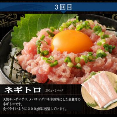ふるさと納税 室戸市 【定期便3回】カツオとマグロ堪能定期便A かつおのたたき まぐろ切り落とし ネギトロ |  | 03