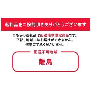 中山靴店 足のお悩みを解決する本格的 オーダーメイド インソール 【黒】【Dr.insole 3D】【配送不可：離島】｜オーダーメイド 