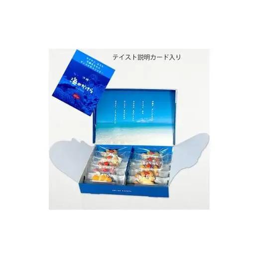 海のかけらクッキー 1箱8個入り2箱セット   