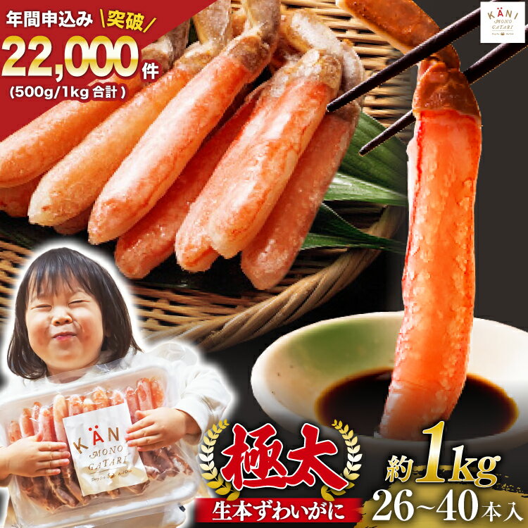 極太 生本ずわいがに 棒肉ポーション 約1kg 30本～40本入り 殻剥き不要 ! 脚肉のみ ! / かに物語 カネダイ / 宮城県 気仙沼市 [20562060] カニ ずわいがに ズワイガニ ずわい蟹 ズワイ蟹 蟹 カニ カニ脚 蟹脚 カニ棒肉 カニ 生 蟹 ポーション カニしゃぶ