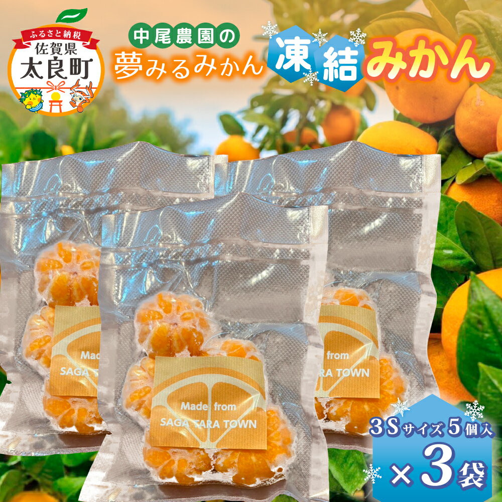 【ふるさと納税】中尾農園の夢みるみかん 凍結みかん3Sサイズ5個入×3袋 【数量限定】 みかん ミカン 蜜柑 柑橘 小玉 凍結みかん フルーツ くだもの 果物 ビタミン豊富 国産 月の引力が見える町 さがみかん 太良みかん 夢みるみかん おいしい 濃厚冷凍 佐賀県 太良町 M110x1