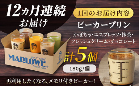 【全12回定期便】葉山ビーカープリン おすすめプリン180g×5個セット（かぼちゃ・エスプレッソ・抹茶・北海道フレッシュクリーム・チョコレート）【マーロウ】[AKAF040]