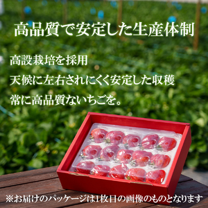 GF001_【2025年11月中旬～2026年4月発送】紅白いちご440g ゆりかーごC2パック