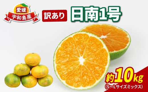 訳あり 極早生 みかん 日南1号 先行予約 10kg S~L サイズ ミックス 不揃い 玉津みかん ニュービジネスユニット 温州みかん 温州 果物 くだもの 訳アリ 訳あり品 訳有り わけあり 愛媛みかん 愛媛ミカン フルーツ 柑橘 農家直送 産地直送 数量限定 国産 愛媛 宇和島 B015-058008