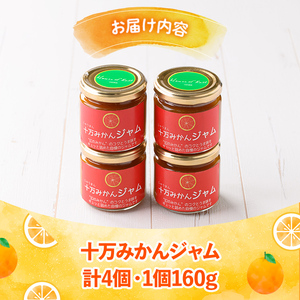 s516 ≪毎月数量限定≫十万温州みかんジャム(計4個・1個160g)【田野農園】