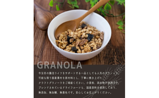 【定期便3ヶ月】 【小麦粉不使用】Lサイズ 人気の3個セット 果物 フルーツ 朝食 軽食 おやつ 食物繊維 国産原料 信州産 長野県 千曲市