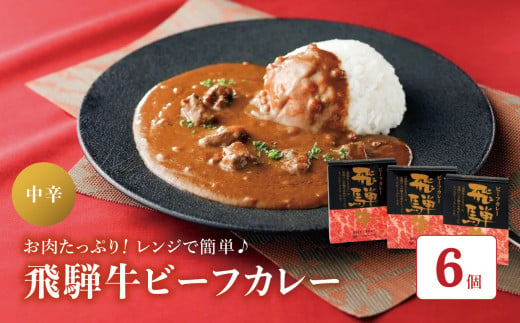 飛騨牛 ビーフカレー セット  ( 220g × 6個 ) H-70C | 飛騨牛 カレー ルー レトルト 食品 お取り寄せ グルメ カレーライス 長野県 松本市 ふるさと納税