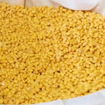 ふるさと納税 小郡市 無添加 味噌 たるみ農園の天然醸造仕込み 米味噌 850g×2[No5354-0291] |  | 01