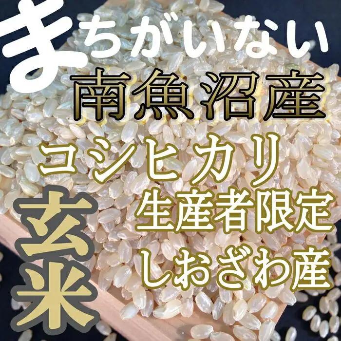 【令和7年産】【定期便】玄米 生産者限定 南魚沼しおざわ産コシヒカリ5Kg×12ヶ月【定期便 銘柄米 ブランド米 玄米 こしひかり コシヒカリ 魚沼産 新潟米 産地直送 お米 米 こめ コメ ご飯 御