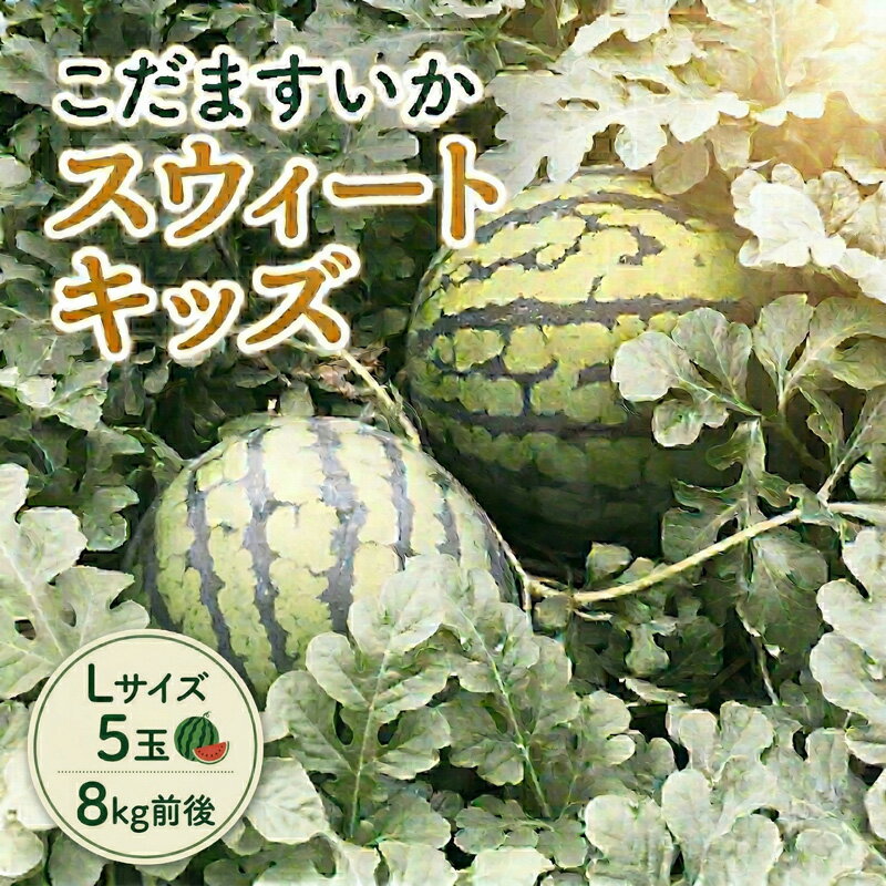 【ふるさと納税】【 地下水100％栽培 】 こだますいか 「 スウィートキッズ 」( 選べる 内容量 ) 先行予約 スウィートキッズ すいか スイカ 小玉スイカ こだまスイカ 西瓜 フルーツ 果物
