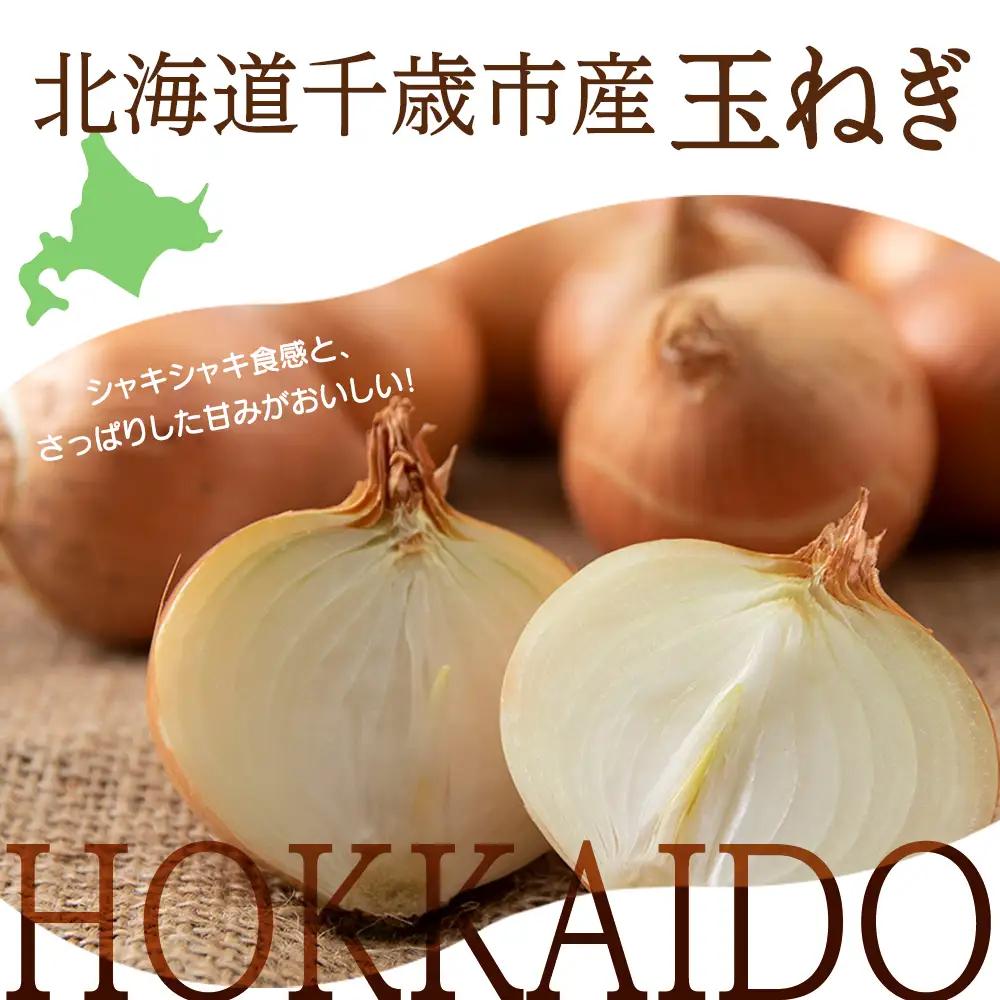 【先行予約】玉ねぎ 10kg SSサイズ 北海道 千歳市産 【假屋フードブリッジ】