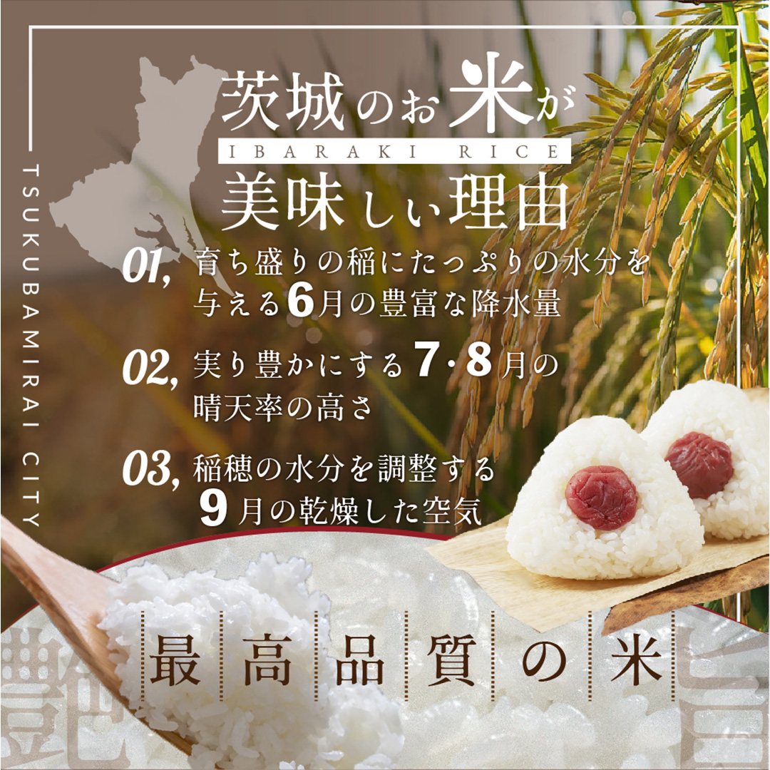 令和7年産 茨城県産 コシヒカリ 3kg ( 3kg ×1袋) 五つ星 お米マ