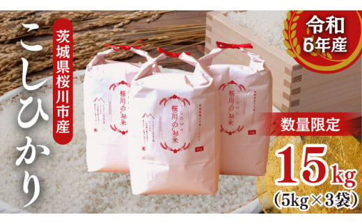 【生産者支援】 《令和6年産》茨城県 桜川市産 こしひかり15kg（5kg×3袋） 茨城県産 桜川 米 お米 白米 コメ ごはん 精米 コシヒカリ 国産 限定 [SC011sa]