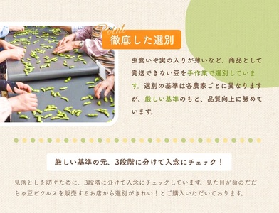 【令和６年産先行予約】だだちゃ豆(3品種食べ比べ)　1.5kg×3回　小池喜左衛門ファーム　枝豆　定期便