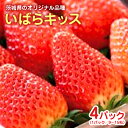 【ふるさと納税】いばらキッス 4パック いちご イチゴ 苺 国産 茨城県産 産地直送 農家 直送 減農薬 高糖度 甘い 酸味 濃厚 ジューシー スイーツ作り ケーキ作り お菓子作り 茨城オリジナル品種 フルーツ 果物 くだもの 小美玉産 14-A