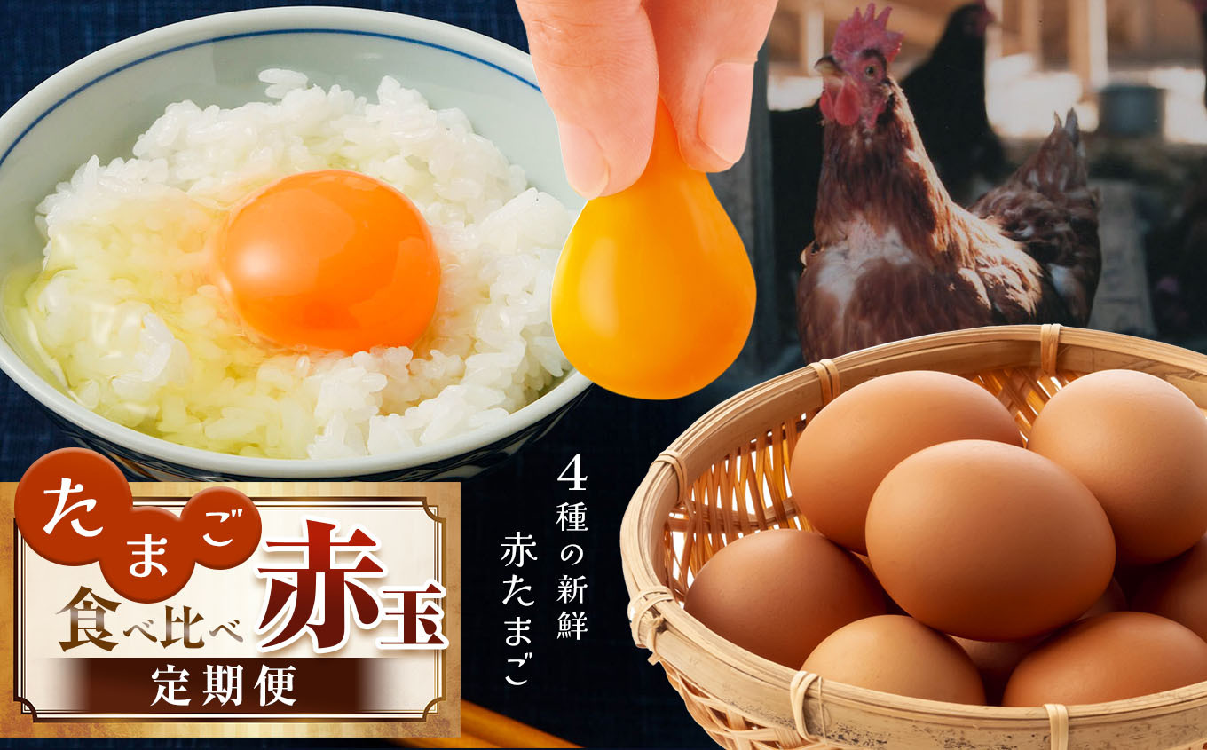 
            【定期便 4回】 たまご 赤玉 食べ比べ 君津市産 |  菜の花エッグ アスタキサンチン卵 菜の花たまご 三枝農場 赤玉 保坂農場 光永ファーム 卵 タマゴ 玉子 定期 赤 卵かけご飯 お菓子作り 新鮮 オススメ グルメ セレクト 千葉県 君津市 きみつ
          