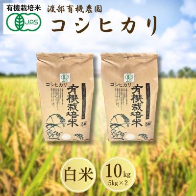 ふるさと納税 南相馬市 JAS有機米 コシヒカリ 白米 10kg 令和7年産 有機米 渡部有機農園 cn001-ab