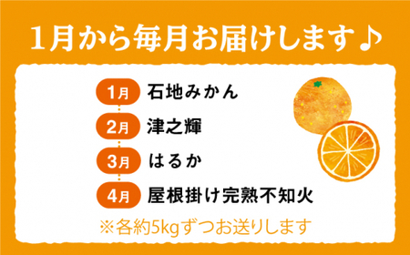 【1月から毎月届く♪4回定期便】【数量限定】旬のみかん定期便＜中尾果樹園＞ [CEL008]