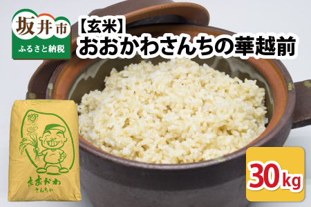 米 【令和6年産・新米】 おおかわさんちの華越前 玄米 30kg 【お米 こめ ハナエチゼン 30キロ ご飯 ごはん 美味しい ふるさと納税米】 [D-10802]