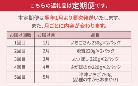 先行予約 2027年1月～発送 【5回定期便】いちご5品種食べ比べ / いちご [IAP010]