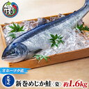 【ふるさと納税】北隆丸 新巻めじか鮭〈姿〉約1.6kg オホーツク枝幸産　【魚貝類・サーモン・鮭・さけ・サケ】