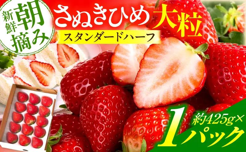 【先行予約】苺音スタンダードハーフ ～春の大粒のさぬきひめいちご～ 約425g | スイーツ いちご イチゴ ストロベリー さぬきひめ さぬき姫 苺 冷蔵 フルーツ 旬 果物 香川県 デザート 青果物 おすすめ |_mk137-008