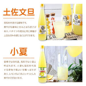 オレンジ園の濃縮ジュース 500ml おまかせ6本入り 6回定期便 希釈用 みかんジュース チューハイ用 ドリンク ジュース 柑橘類 蜜柑 みかん【J00117】