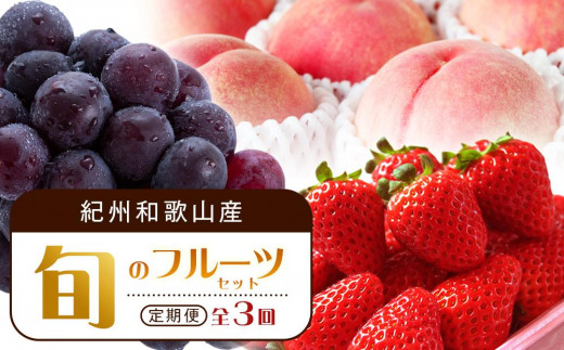 
【2・7・9月 全3回】紀州和歌山産旬のフルーツセット（いちご・桃・ピオーネ）【UT95】
