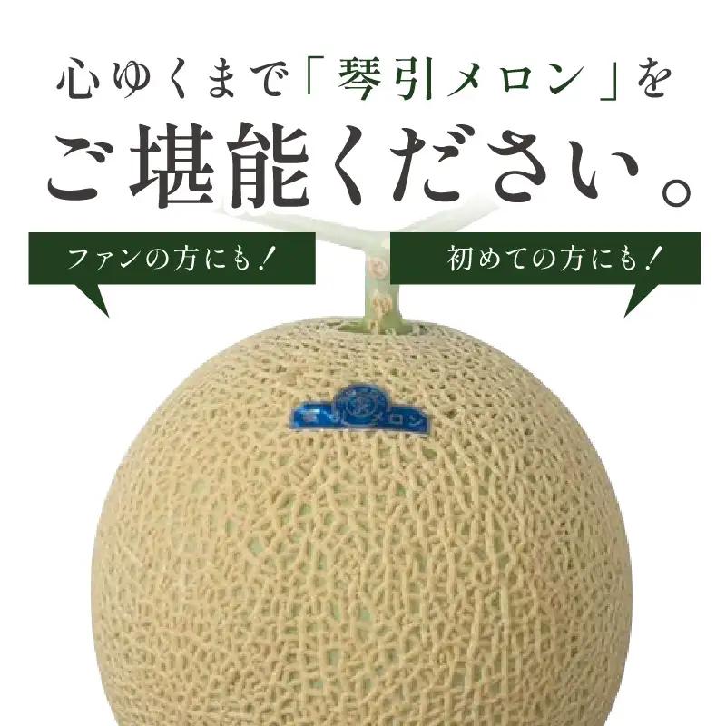 【2026年6月下旬-発送】 琴引メロン LA 1玉 京のブランドメロン