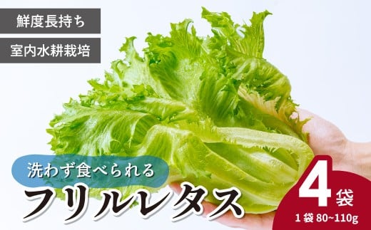 ＜洗わず食べられる・室内水耕栽培＞ フリルレタス 4袋(80〜110g/袋) | レタス 洗わずに食べられる 新鮮レタス オーガニック野菜 無農薬 野菜直送 フレッシュ サラダ用野菜 健康志向 こだわり フレッシュ 産地直送 食品ギフト セット 緑黄色野菜 新鮮 安心野菜 旬 低カロリー レタスボウル カロテン 埼玉県 東松山市