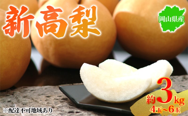 梨 2026年先行予約 岡山県産 新高梨 約3kg 4～6玉 お届け 10月中旬～11月中旬