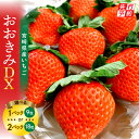 【ふるさと納税】《2025年発送先行予約》【選べる内容量】【数量・期間限定】宮崎県産いちご「おおきみDX」いちご ストロベリー 大きい 甘い 大粒 大粒いちご 高糖度 果物 フルーツ 果肉 スイーツ デザート 贈り物 贈答 プレゼント 国産 宮崎県産 グルメ 宮崎県 宮崎市