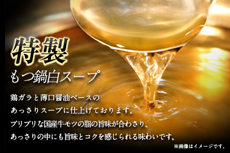 ふるさと納税 六蔵　博多明太もつ鍋セット国産牛もつ600ｇ（5～6人前）株式会社OSADA《30日以内に順次出荷(土日祝除く)》