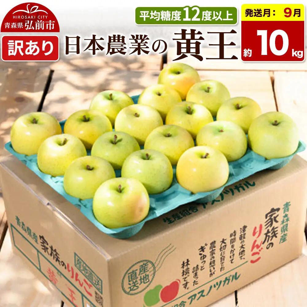 りんご 黄王 訳あり 約10kg【9月クール便発送】りんご