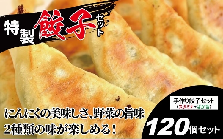 
                  特製！手作り餃子セット（スタミナ餃子60個＋ばか旨餃子60個）〈餃子 冷凍餃子 セット 冷凍食品 人気 美味しい 老舗 有名店  手作り ギョーザ ぎょうざ 野菜 おかず 総菜 おつまみ 中華 大量〉 [№5412-0160]
                