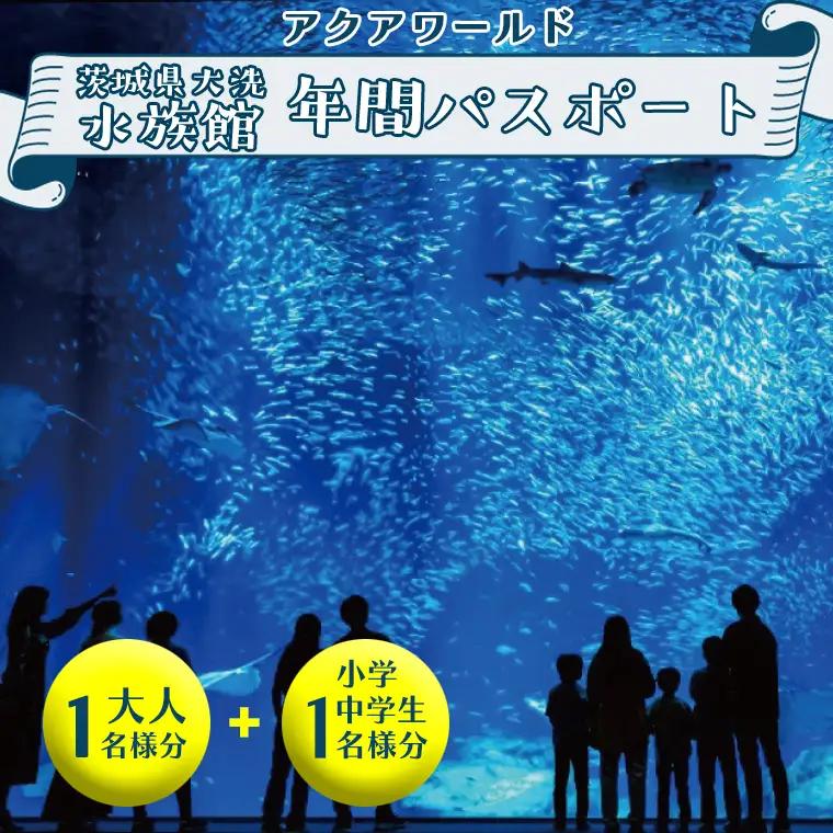 アクアワールド 茨城県 大洗 水族館 年間パスポート 大人1名 小・中学生1名 大洗 チケット _AQ010