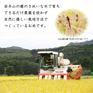 【2024年10月上旬より発送開始】 新米 ひとめぼれ 玄米 約 10kg ／ 3ヶ月 定期便 【わかふじ農産】 ／ 米