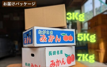 ★受付期間限定★【樹上完熟】 長崎みかん （普通温州） 約3kg 温州蜜柑 温州みかん 蜜柑 みかん ミカン 果物 果実 フルーツ 完熟 長崎県 長崎市 常温 【2026年12月下旬-2027年1月下