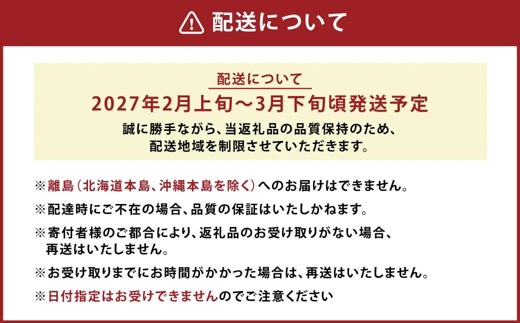 A159 【春】 あまおう 6パック いちご 【2027年2月上旬～3月下旬以降発送予定】