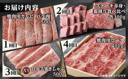 【まるごと定期便】 飛騨牛三昧 全12回 お届け 定期便 [S524]