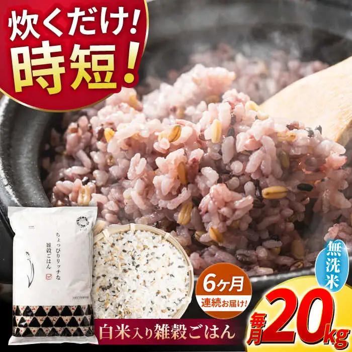 〈令和8年度産米〉 【全6回定期便】 水研ぎ不要 雑穀ごはん 無洗米 20kg 【株式会社 農産ベストパートナー】 令和8年産 [ZBP155]