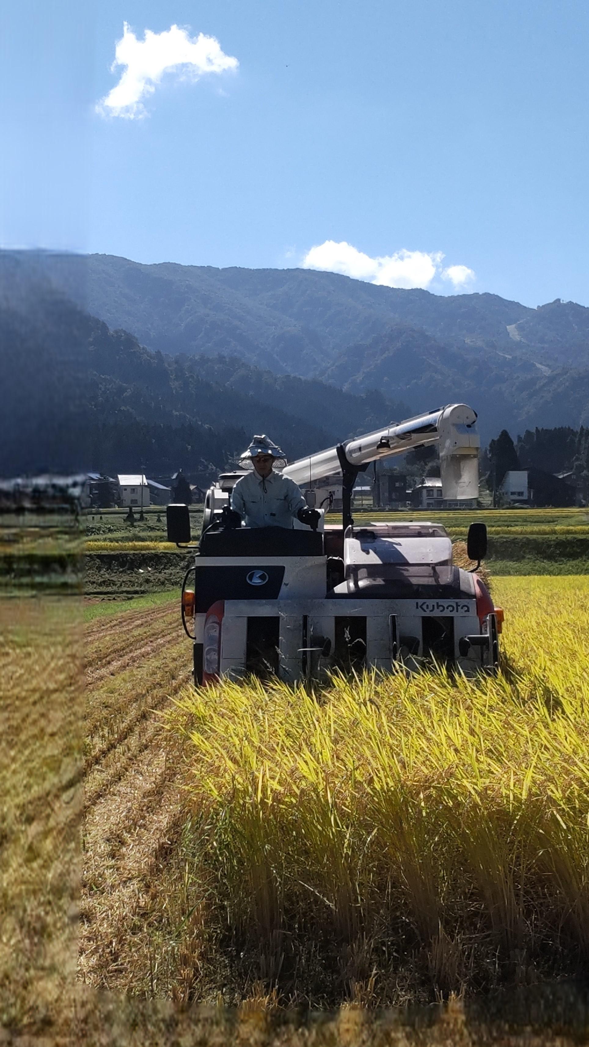 【令和7年新米】新潟県認証特別栽培米魚沼産しおざわコシヒカリ玄米30kg