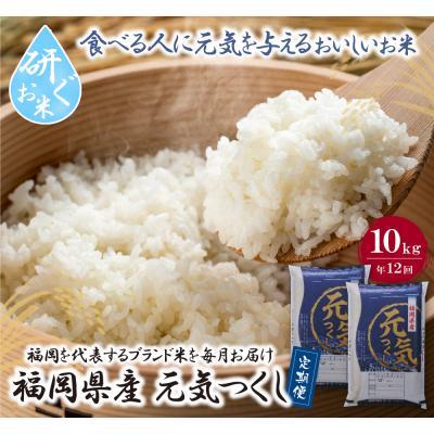 ふるさと納税 福智町 寄附額改定↓↓ 研ぐお米 福岡県産・元気つくし10kg定期便(毎月・年12回)
