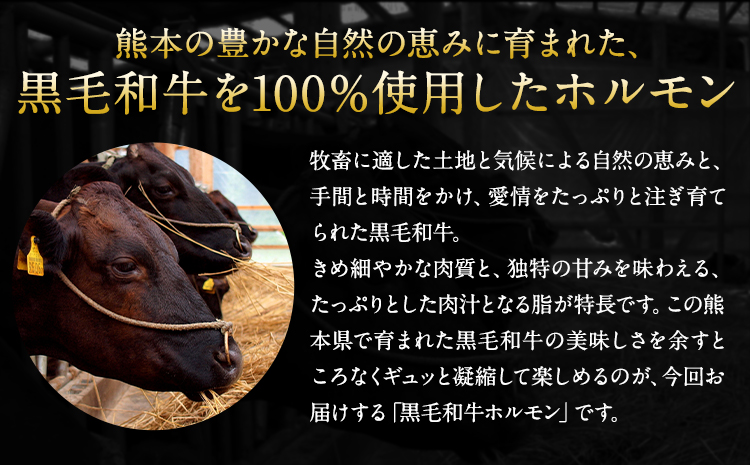 黒毛和牛ハンバーグ150g×10個 絶品 ブランド牛 黒毛和種 有限会社トップルーフ《60日以内に出荷予定(土日祝除く)》