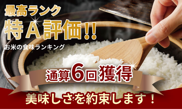ご飯ソムリエ厳選！夢しずく20kg（5ｋｇ×４）（肥前糧食） 一等米 精米 白米 ブランド米 夢しずく お米 白飯 佐賀県 人気 ランキング 高評価